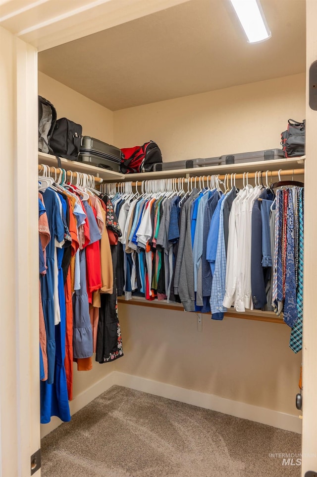 6023 S Augustine Ave, Boise, ID 83709 - spacious closet with carpet