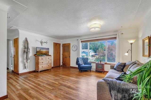 833 Nebraska, Gooding, ID 83330 - living room featuring a textured ceiling and light wood-style floors