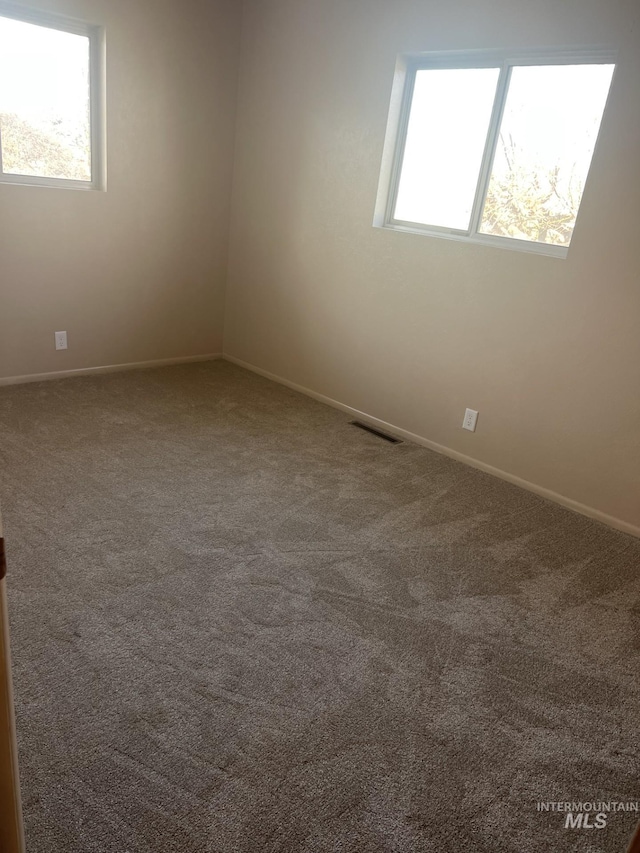 empty room with a wealth of natural light and carpet