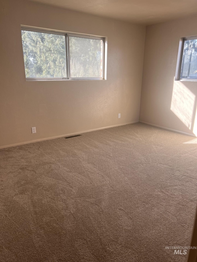 spare room featuring carpet flooring and plenty of natural light