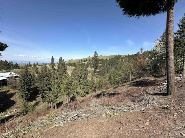 view of landscape featuring a view of trees