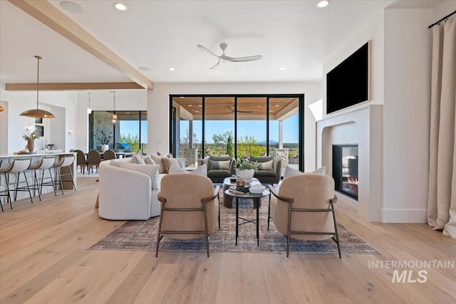 living room with light wood finished floors, a ceiling fan, and a healthy amount of sunlight