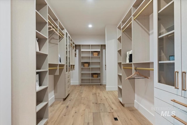spacious closet with wood finished floors