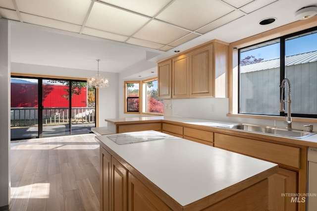 kitchen with hanging light fixtures, a chandelier, light hardwood / wood-style floors, black electric stovetop, and sink