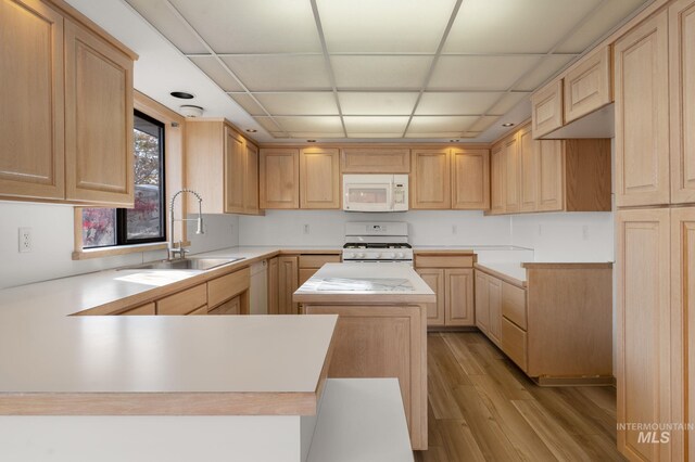 kitchen featuring light brown cabinets, sink, a drop ceiling, light wood-type flooring, and white appliances