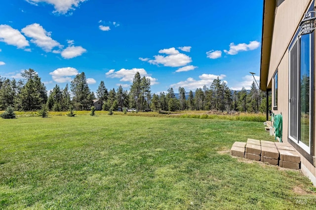 view of yard