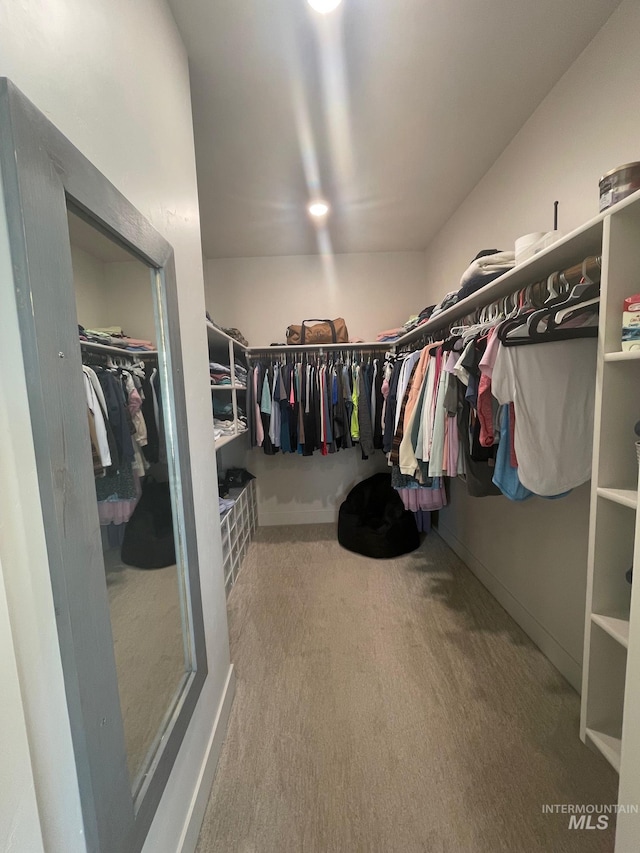 1111 Thunder Mountain St, Kimberly, ID 83341 - walk in closet featuring carpet floors