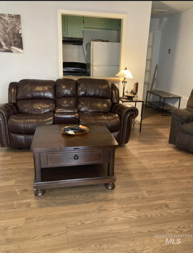 living room featuring light wood-style flooring