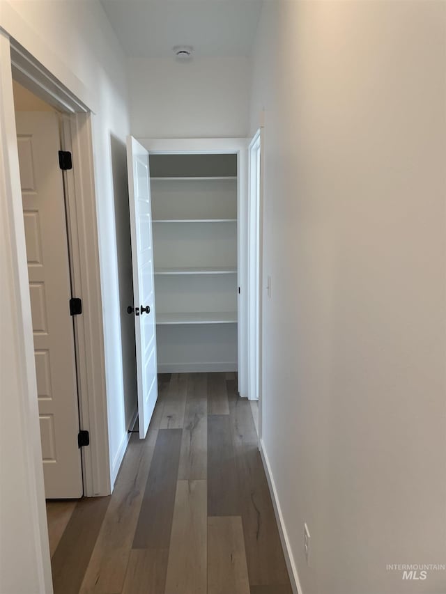 484 Hope Ave, Twin Falls, ID 83301 - hall featuring wood finished floors and baseboards