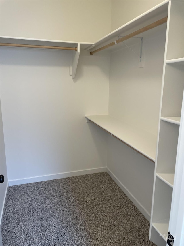 484 Hope Ave, Twin Falls, ID 83301 - spacious closet featuring carpet