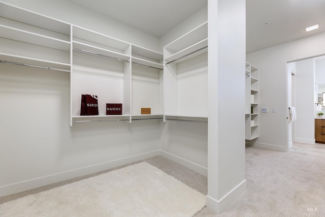 walk in closet featuring carpet flooring