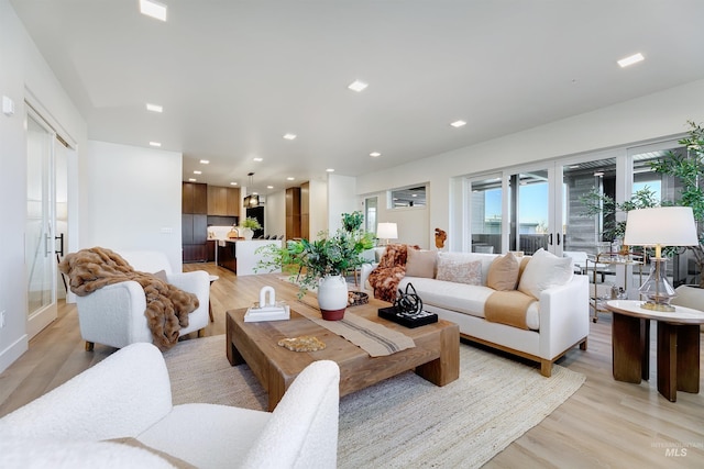 living room with light hardwood / wood-style flooring