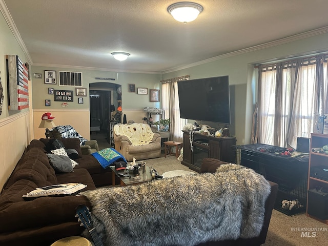 carpeted living room featuring a textured ceiling and crown molding