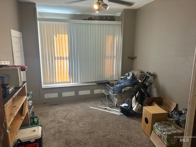 misc room featuring ceiling fan and carpet flooring