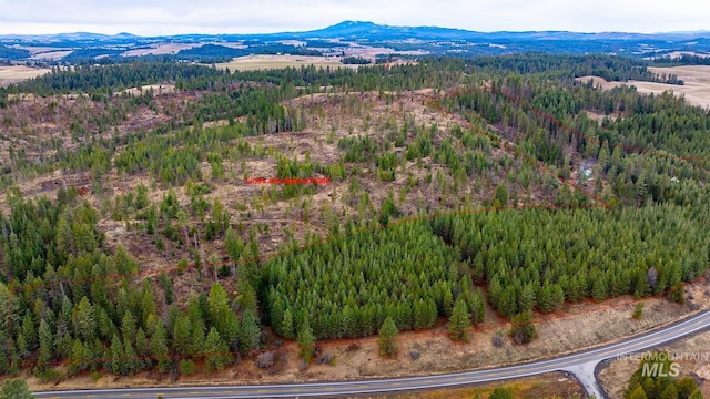 drone / aerial view featuring a mountain view