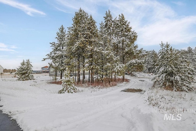 view of yard layered in snow