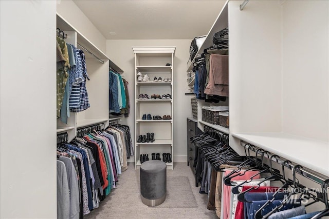 spacious closet with light carpet