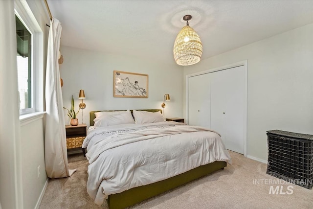 1722 W Mcglinchey St, Meridian, ID 83646 - bedroom featuring carpet and a closet