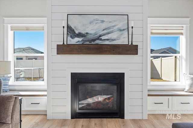 details featuring a fireplace and wood finished floors