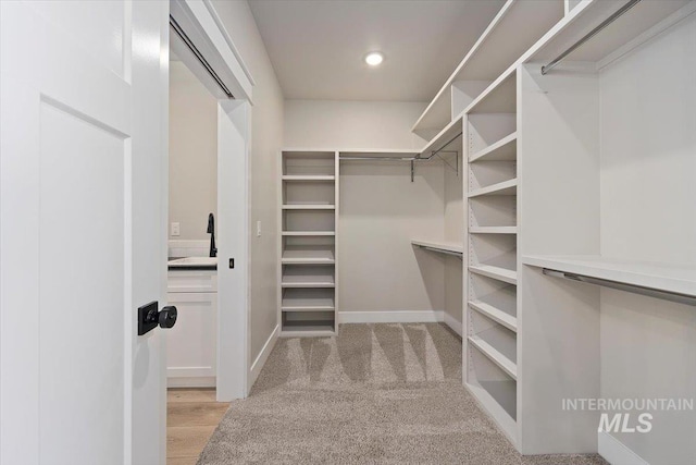 spacious closet featuring light carpet