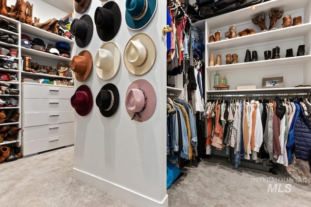 walk in closet featuring light colored carpet