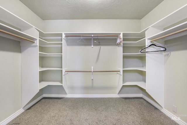 70 Pelican Dr, Rupert, ID 83350 - walk in closet with carpet floors