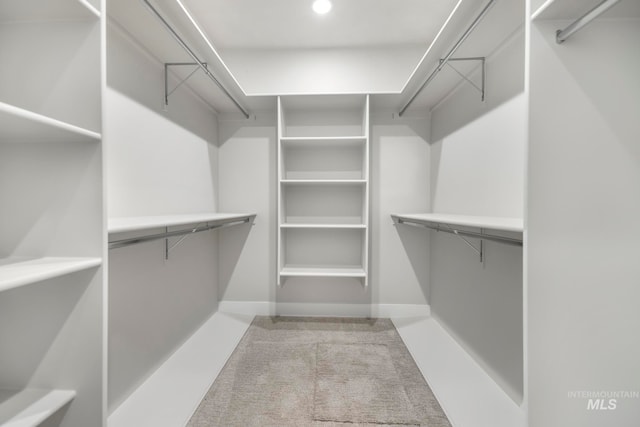 view of walk in closet