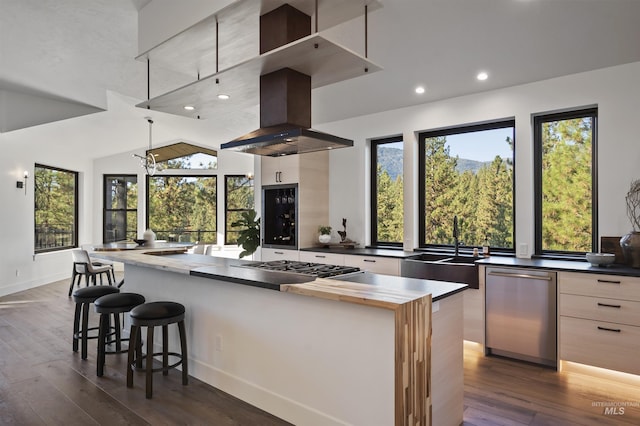 kitchen with plenty of natural light, dishwasher, modern cabinets, a sink, and dark wood-style floors