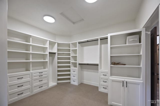 walk in closet featuring carpet and attic access