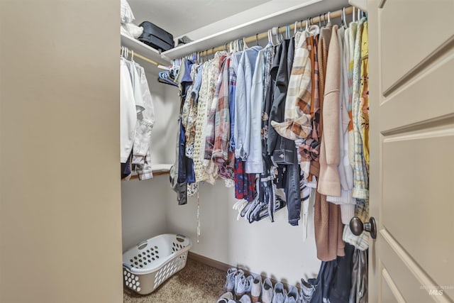 spacious closet with carpet