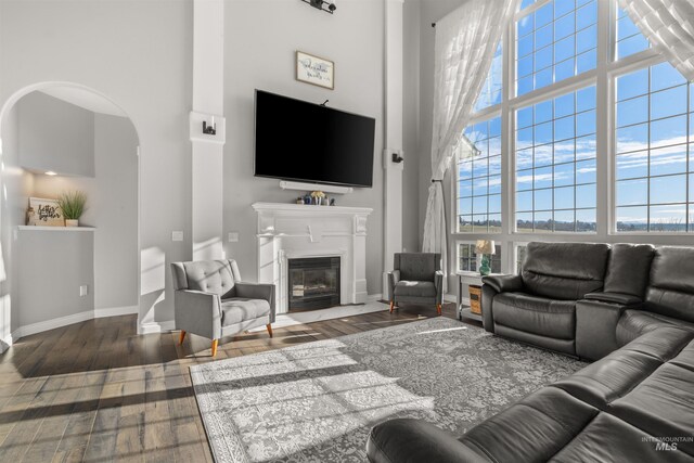 living room featuring a towering ceiling and wood-type flooring