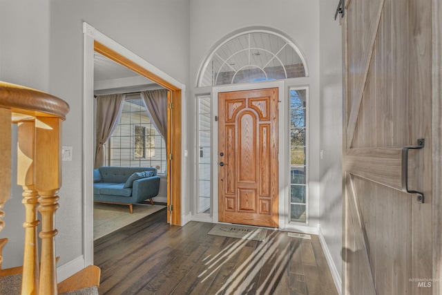 foyer entrance featuring a wealth of natural light, dark hardwood / wood-style flooring, and a barn door