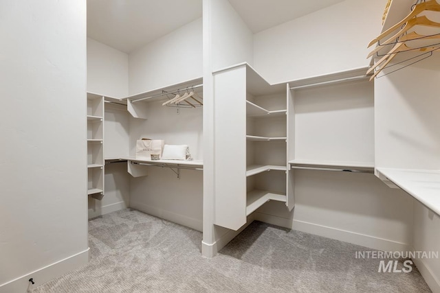 spacious closet with carpet floors