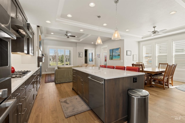 6178 N Bolsena Ln, Meridian, ID 83646 - kitchen featuring ceiling fan, a raised ceiling, open floor plan, stainless steel appliances, and a sink
