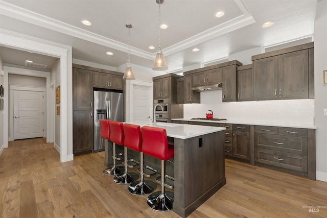 6178 N Bolsena Ln, Meridian, ID 83646 - kitchen with appliances with stainless steel finishes, a tray ceiling, a kitchen bar, light countertops, and a kitchen island with sink