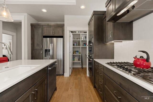 6178 N Bolsena Ln, Meridian, ID 83646 - kitchen with appliances with stainless steel finishes, exhaust hood, a sink, light countertops, and dark brown cabinetry