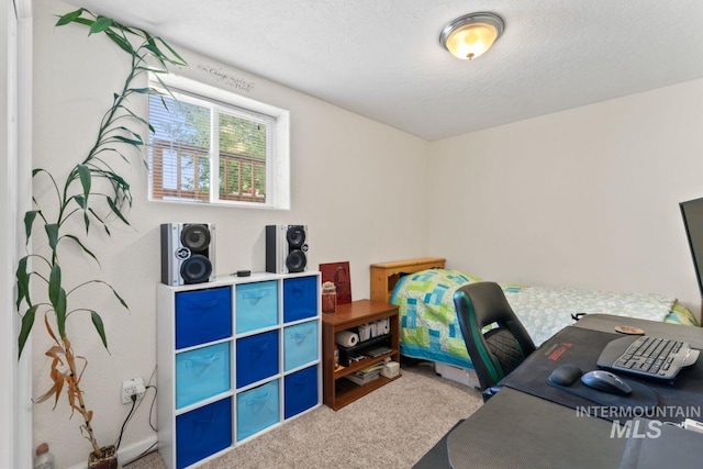 carpeted office with a textured ceiling