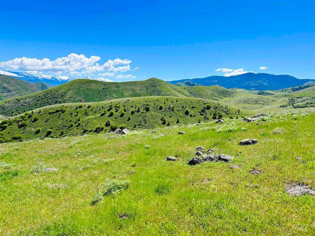 Listing photo 3 for TBD Deer Creek Rd, White Bird ID 83554