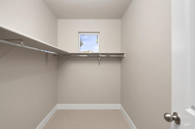 1694 N Solterra Ln, Meridian, ID 83646 - spacious closet with light carpet