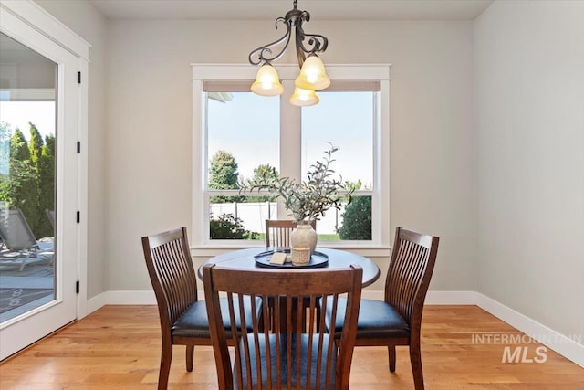 dining room with a chandelier, healthy amount of natural light, and light wood-style flooring