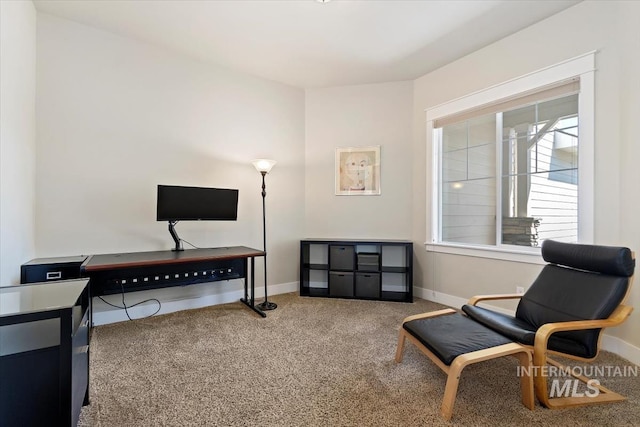 sitting room featuring carpet floors and baseboards