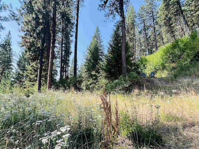 LOT1 Summerset, Garden Valley, ID 83622