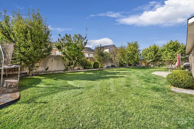 view of yard featuring a patio and a trampoline