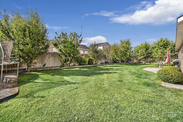 view of yard with a fenced backyard, a patio area, and a trampoline