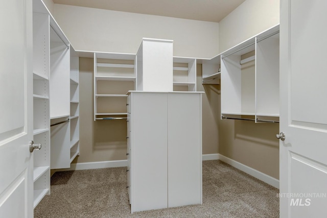 spacious closet featuring light colored carpet