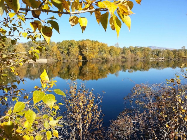 water view with a heavily wooded area