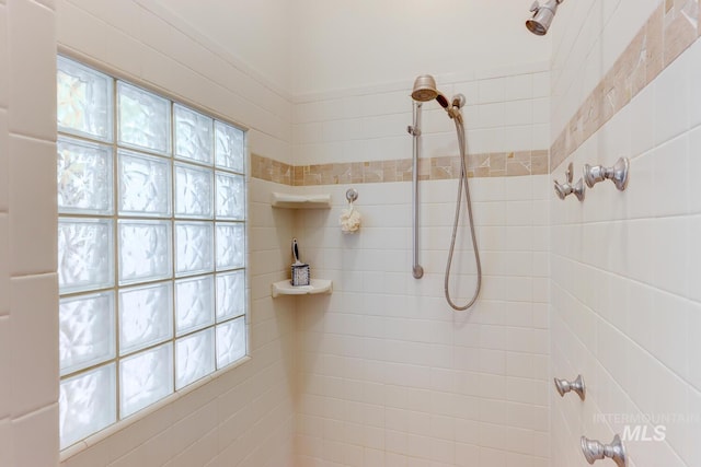 1795 W Black Canyon Hwy, Emmett, ID 83617 - bathroom featuring tiled shower
