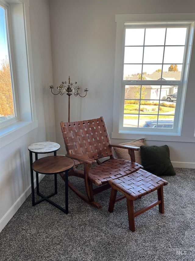 sitting room featuring carpet flooring