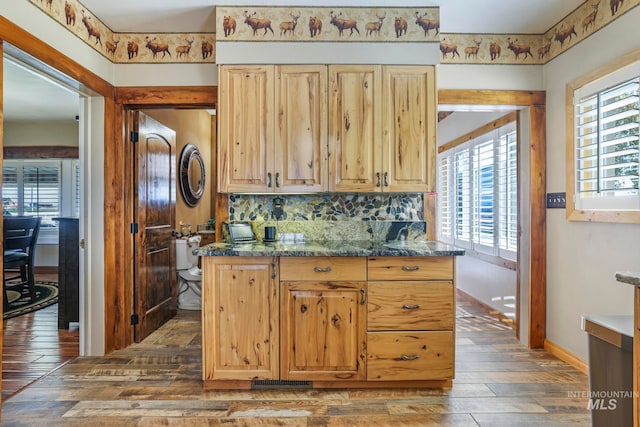 kitchen with dark wood-type flooring, backsplash, dark stone counters, and plenty of natural light