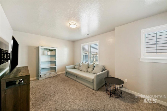 living room with a textured ceiling and carpet